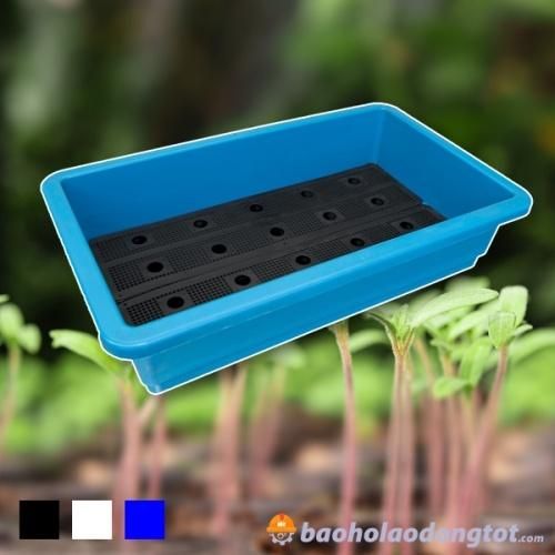 1. Khái Niệm và Phân Loại Khay Trồng Rau Mầm
